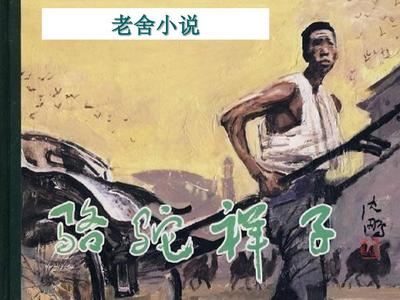 51含羞草